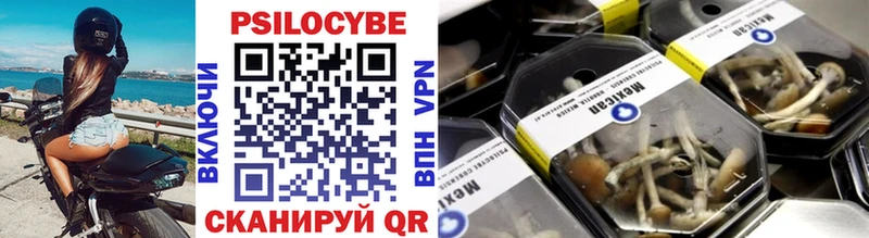 Галлюциногенные грибы Psilocybine cubensis  Лаишево 