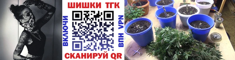 Шишки марихуана ГИДРОПОН  купить наркотики сайты  Лаишево 